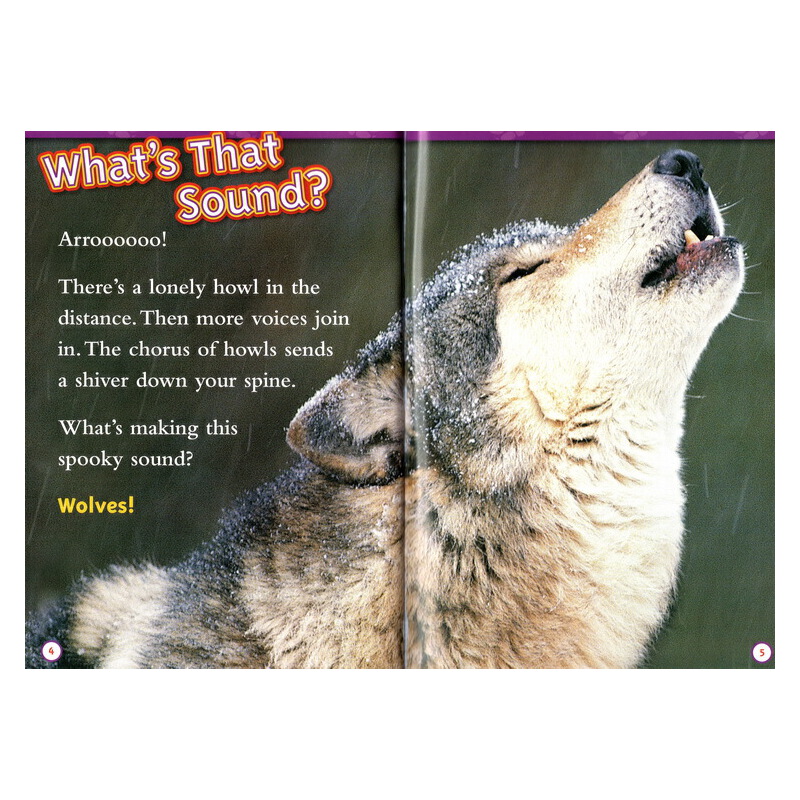 二階段29冊 美國國家地理分級讀物 National Geographic KIDS Readers L2 英文原版 兒童版全綵百科動物系列