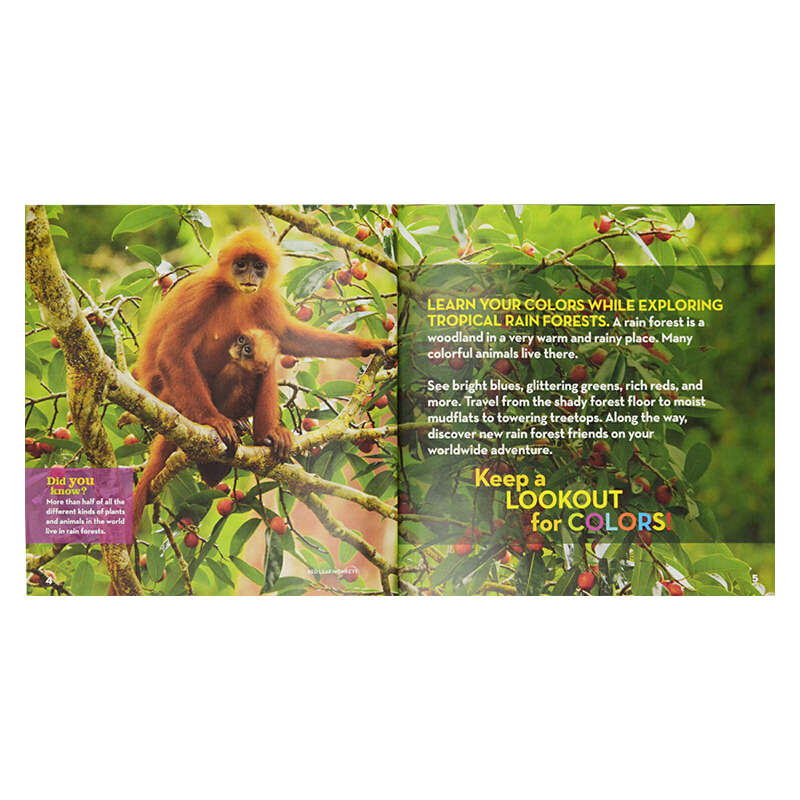 英文原版 美國國家地理  National Geographic Little Kids:Rain Forest Colors 動物/字母/數字 3冊精裝合集