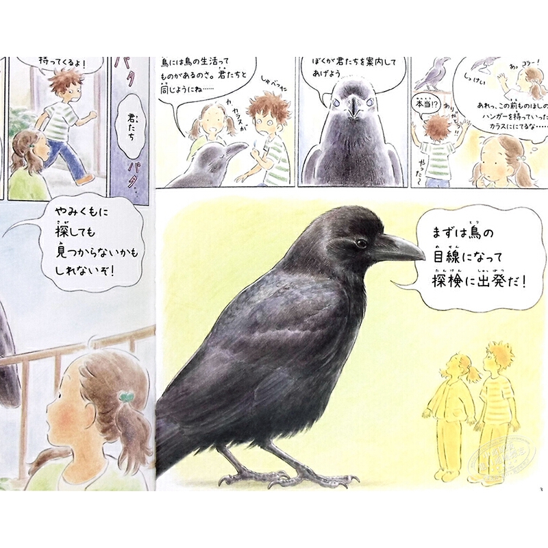 發現藍色羽毛 一起尋找身邊的鳥兒 童書繪本 日文原版 青い羽みつけた さがしてみよう 身近な鳥たち