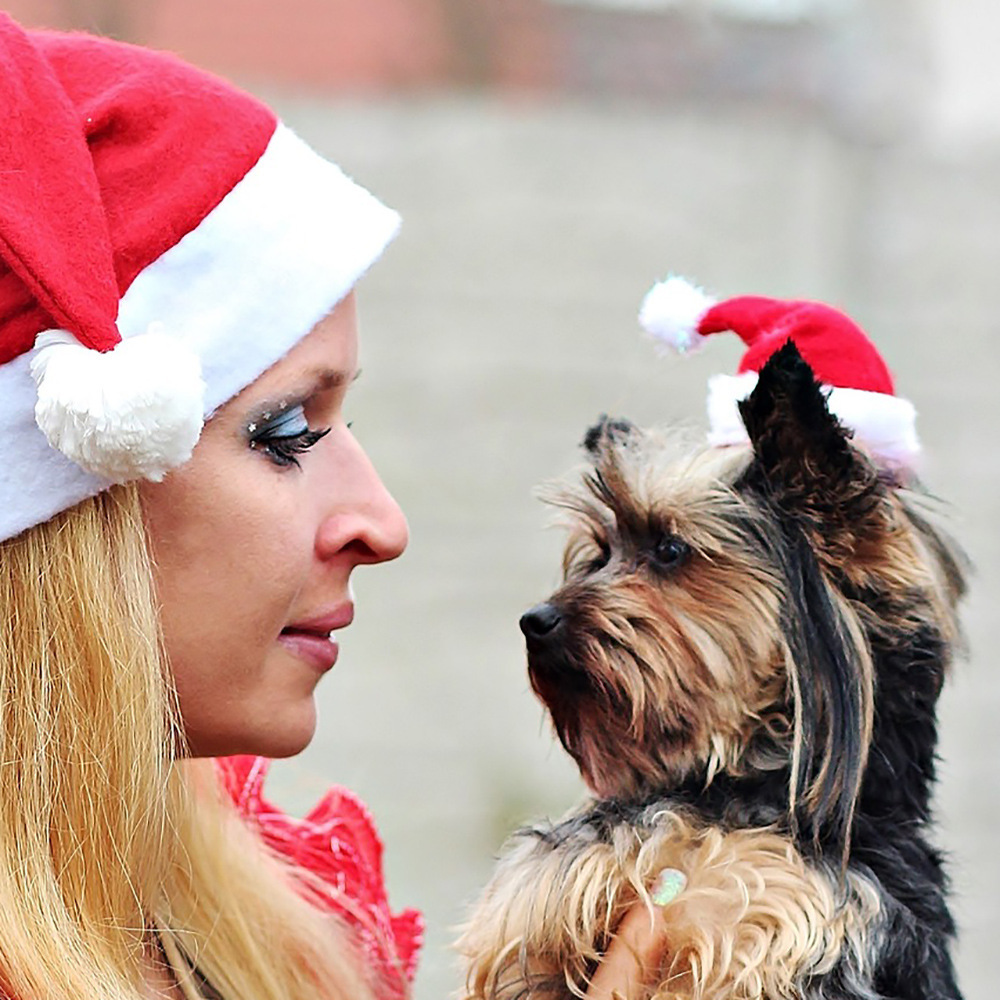 聖誕節裝飾用品寵物帽子貓咪狗狗頭飾 聖誕帽小帽子絨布 長毛絨帽