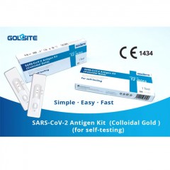 GOLDSITE新冠病毒抗原快速測試劑48盒裝（廠家團購價）