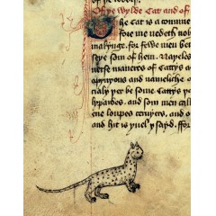 中世紀手稿中的貓（大英圖書館中世紀指南系列）英文原版 Cats in Medieval Manu*s (British Library Medieval Guides)