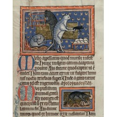 中世紀手稿中的貓（大英圖書館中世紀指南系列）英文原版 Cats in Medieval Manu*s (British Library Medieval Guides)